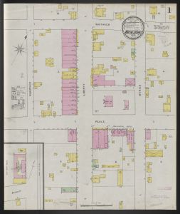 Waynesboro, McIntosh Co., Ga., Nov. 1895 / Sanborn-Perris Map Co., Limited