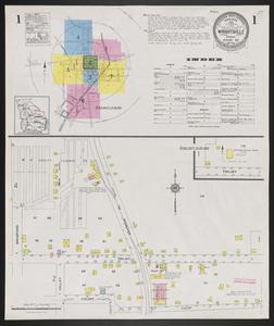 Wrightsville, Johnson County, Georgia, January 1924 / Sanborn Map Company