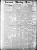 Savannah morning news (Savannah, Ga. : 1868),  Feb. 3, 1877