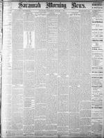 Savannah morning news (Savannah, Ga. : 1868),  Jan. 2, 1878