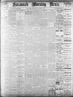 Savannah morning news (Savannah, Ga. : 1868),  Jan. 23, 1878