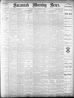 Savannah morning news (Savannah, Ga. : 1868),  Feb. 19, 1878