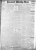 Savannah morning news (Savannah, Ga. : 1868),  Jul. 30, 1878