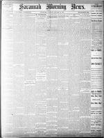 Savannah morning news (Savannah, Ga. : 1868),  Jan. 28, 1879