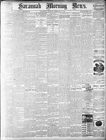 Savannah morning news (Savannah, Ga. : 1868),  Feb. 10, 1880