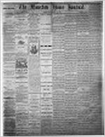 Houston home journal (Perry, Ga. : 1870), Aug. 17, 1871