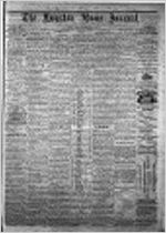Houston home journal (Perry, Ga. : 1870), Mar. 1, 1873