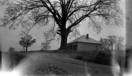 Houses - unidentified