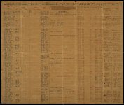 Muster and Payroll, Co D 10th GA Battalion (Whittle Guards), package 2-A, 50; item(s) 3003