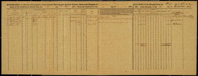 Muster and Pay Roll, Medical Purveyors Department, package 2-C, 19; item(s), 3069