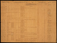 Muster and Pay Roll, Co M 38th Georgia Infantry Regiment (Joe Thompson Artillery), package 2-D, 17; item(s) 3116
