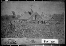 [Photograph of youngsters in a cotton field, Fitzgerald, Ben Hill County, Georgia, ca. 1900]