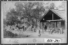 [Photograph of sugar cane mill, Fitzgerald, Ben Hill County, Georgia, between 1905 and 1910]