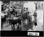 [Photograph of Wagon sponsored by the Junior Women's Club, Fitzgerald, Ben Hill County, Georgia, 1970]