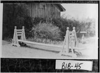 [Photograph of a joggling board, Macon, Bibb County, Georgia, ca. 1910]