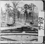 No. 6. Central City Park. The Avenue.