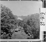 [Photograph of the Ocmulgee River, Bibb County, Georgia, 1877]