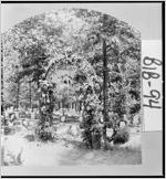 [Stereograph of Rose Hill Cemetery, Macon, Bibb County, Georgia, ca. 187-]