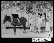 [Albumen print of a farm scene, Bleckley County, Georgia, ca. 187-]