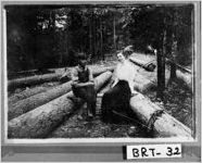 [Photograph of log cutting site, Bartow County, Georgia]