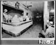 [Photograph of Ellis Drug Company, Statesboro, Bulloch County, Georgia, ca. 1910-1915]