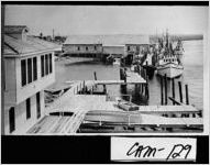 [Photograph of the Camden Seafood Plant, Saint Marys, Camden County, Georgia, 1950]
