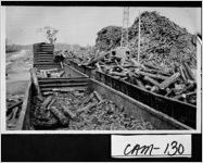 [Photograph of pulpwood, Saint Marys, Camden County, Georgia, ca. 1950]