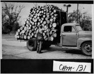 [Photograph of pulpwood, Saint Marys, Camden County, Georgia, ca. 1950]