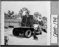 [Photograph of sanitation department, Saint Marys, Camden County, Georgia, 1953 ]