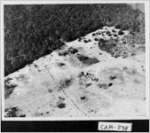 [Photograph of aerial view of Bellvue Plantation, Camden County, Georgia, ca. 1930]