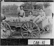 [Watermelons in Fruithurst, Ala.]