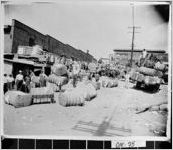 [Photograph of cotton warehouse belonging to E. M. Strickland, Carrollton, Carroll County, Georgia, 193- ]