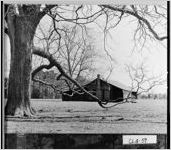 [Photograph of an exterior of a barn, Colquitt County, Georgia, ca. 197-]
