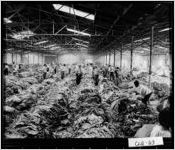 [Photograph of the interior of a tobacco warehouse, Moultrie, Colquitt County, Georgia, ca. 1965]