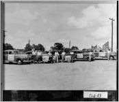 [Photograph of Southeast Tobacco Festival Committee, Moultrie, Colquitt County, Georgia, 1949 July]