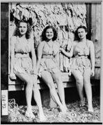 [Photograph of three women wearing tobacco leaf bathing suits, Moultrie, Colquitt County, Georgia, 195-]