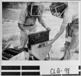 [Photograph of two beekeepers, Moultrie, Colquitt County, Georgia, between 1950 and 1960]