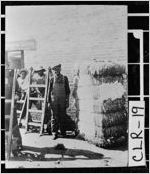[Photograph of workers standing beside cotton bale, Athens, Clarke County, Georgia, between 1912 and 1918]