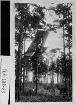 [Photograph of crash of aeromarine plane piloted by R. L. Mitchell , Athens, Clarke County, Georgia, 1920 May 1]