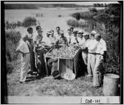 [Photograph of fish taken from "Beautiful Lake Acworth," Acworth, Cobb County, Georgia, 1950 Aug. 24 ]