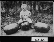 [Photograph of Jesse C. James, Cobb County, Georgia, ca. 1915]