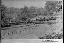 [Photograph of gardens at Oakton, Marietta, Cobb County, Georgia, ca. 1935]