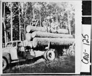 [Photograph of workers sitting on a stack of giant logs, Coweta County, Georgia, ca. 1952]