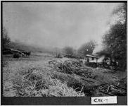 [Photograph of a sorghum mill, Cherokee County, Georgia, 1902]