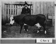 [Photograph of William Dozier Husty and a prize cow, Cherokee County, Georgia, 1908]