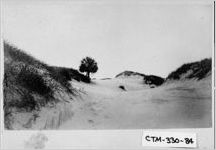 [Albumen print of Tybee Island, Tybee Island, Chatham County, Georgia, 188-]