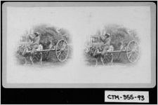 [Stereograph of an African-American man riding an ox hitched to a wagon, Savannah, Chatham County, Georgia, ca. 1873]