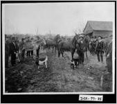 [Photograph of men gathered around an animal auction, Lithonia, DeKalb County, Georgia]