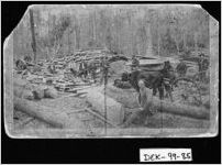 [Photograph of portable sawmill, DeKalb County, Georgia, 1888]