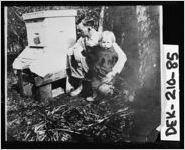 [Photograph of beekeeping, Atlanta, DeKalb County, Georgia, ca. 1918]